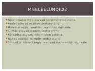 Närvisüsteem #8