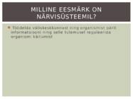 Närvisüsteem #10
