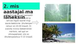 Minu madagaskar #3