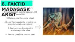 Minu madagaskar #7