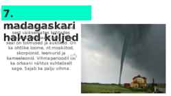 Minu madagaskar #8