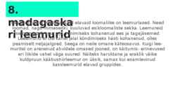 Minu madagaskar #9