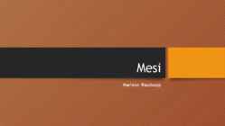 Mesi
