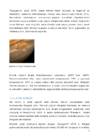 Jupiter #7