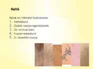 Nahk #2