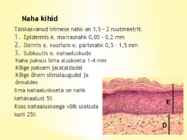 Nahk #3