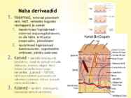 Nahk #4