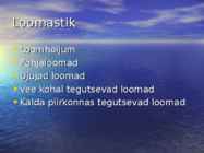 Järveloomastik #2
