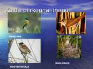 Järveloomastik #10
