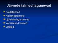 Järvede taimed #2