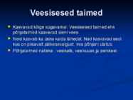 Järvede taimed #6