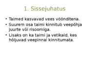Järvetaimed #2