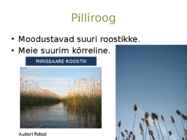 Järvetaimed #17