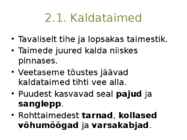 Järvetaimed #5