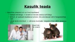 Aeduba ehk Türgi uba #7