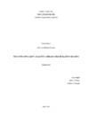 Seminaritöö-Sõjahaudade kaitse seadus