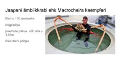 Elavad fossiilid #3