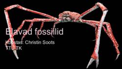 Elavad fossiilid