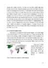 English as a Global Language #10