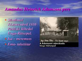 Amandus adamson #2