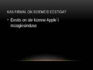 Apple Inc #13