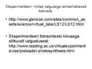 FOTOSÜNTEES #16