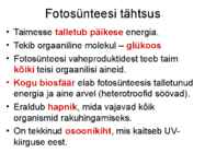 FOTOSÜNTEES #29