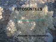 FOTOSÜNTEES