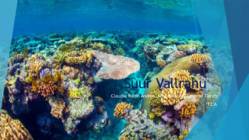Suur vallrahu