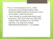 Karuputk #3