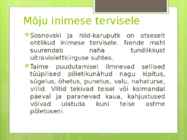 Karuputk #6