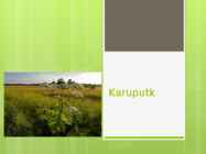 Karuputk