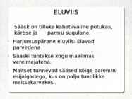Sääsk #4
