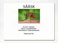 Sääsk