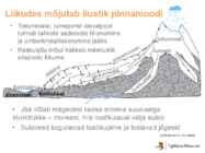 Liustikud #13