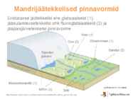 Liustikud #17
