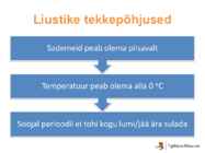 Liustikud #3