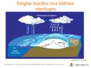 Liustikud #26