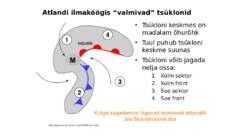 Tsüklonid ja antitsüklonid #11