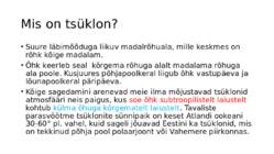 Tsüklonid ja antitsüklonid #5