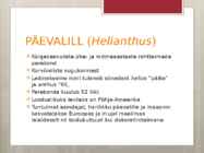 PÄEVALILL #2