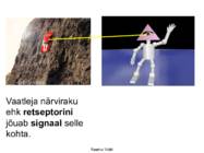 FÜÜSIKALISE LOODUSKÄSITLUSE ALUSED #26