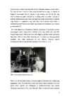 Marie Curie #6
