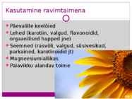 Päevalill #8