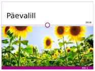Päevalill