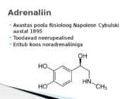 Bioloogiline psühholoogia - Adrenaliin ehk epinefriin #2