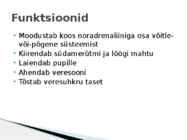 Bioloogiline psühholoogia - Adrenaliin ehk epinefriin #4