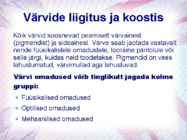 Maalritööde esitlus #15