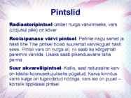 Maalritööde esitlus #20