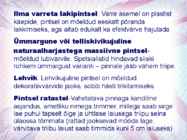Maalritööde esitlus #21